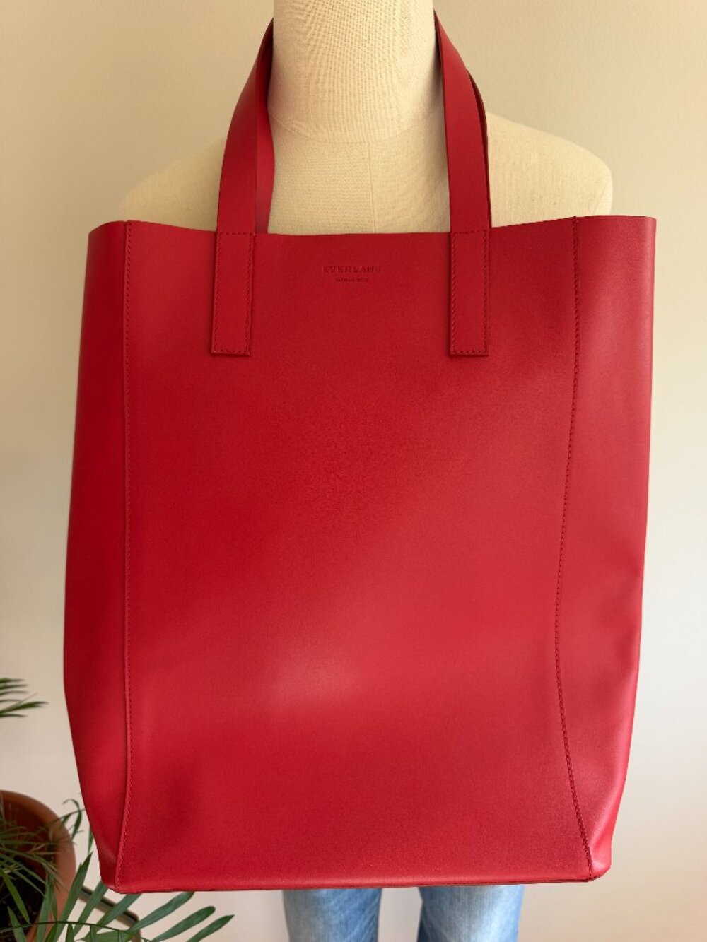 NWOT Everlane Italian Leather Magazine Day Bag
